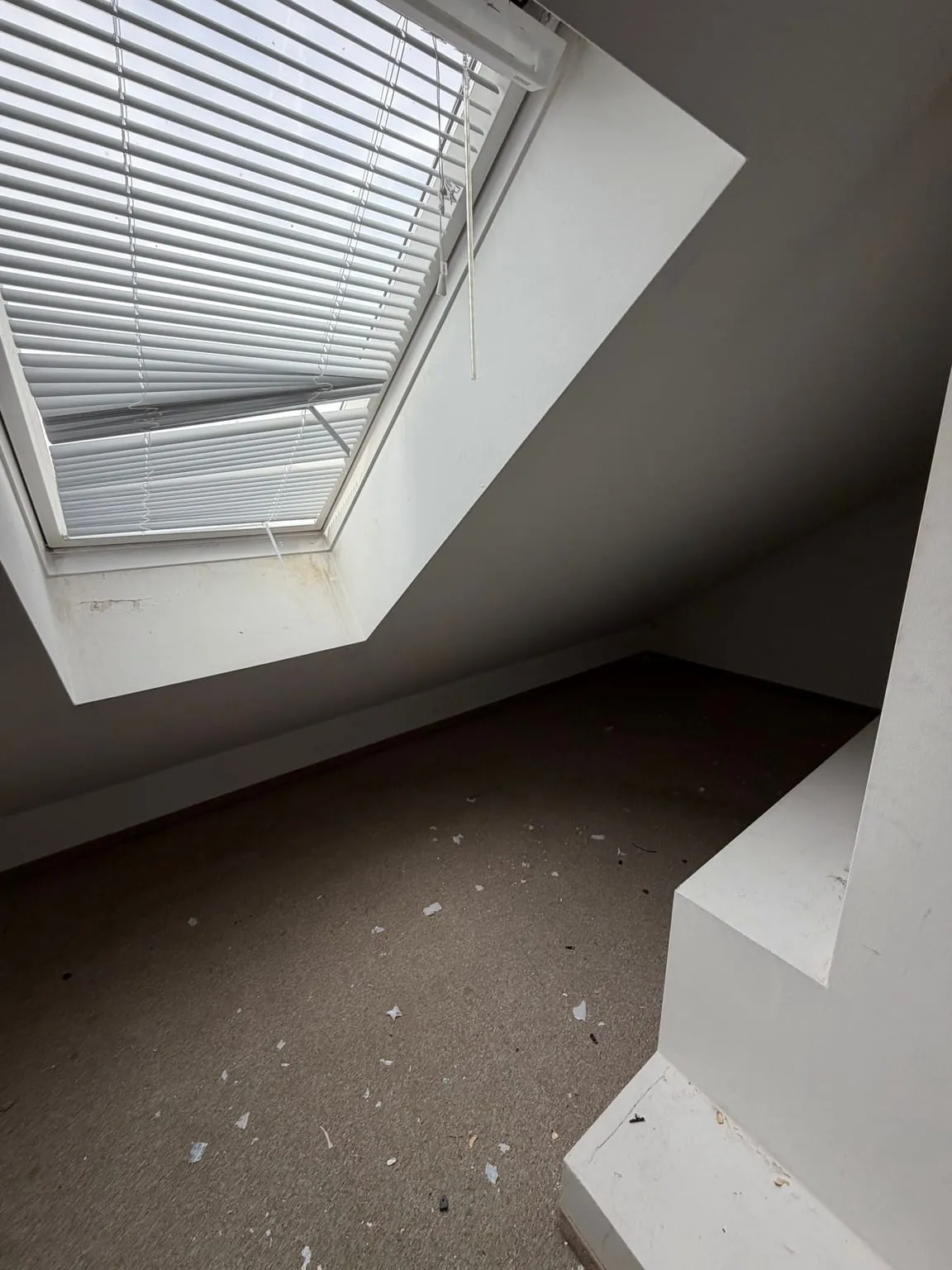 Derselbe Dachgeschossraum leer, mit Dachfenster, Dachschräge, weißer Brüstung und grauem Teppichboden.