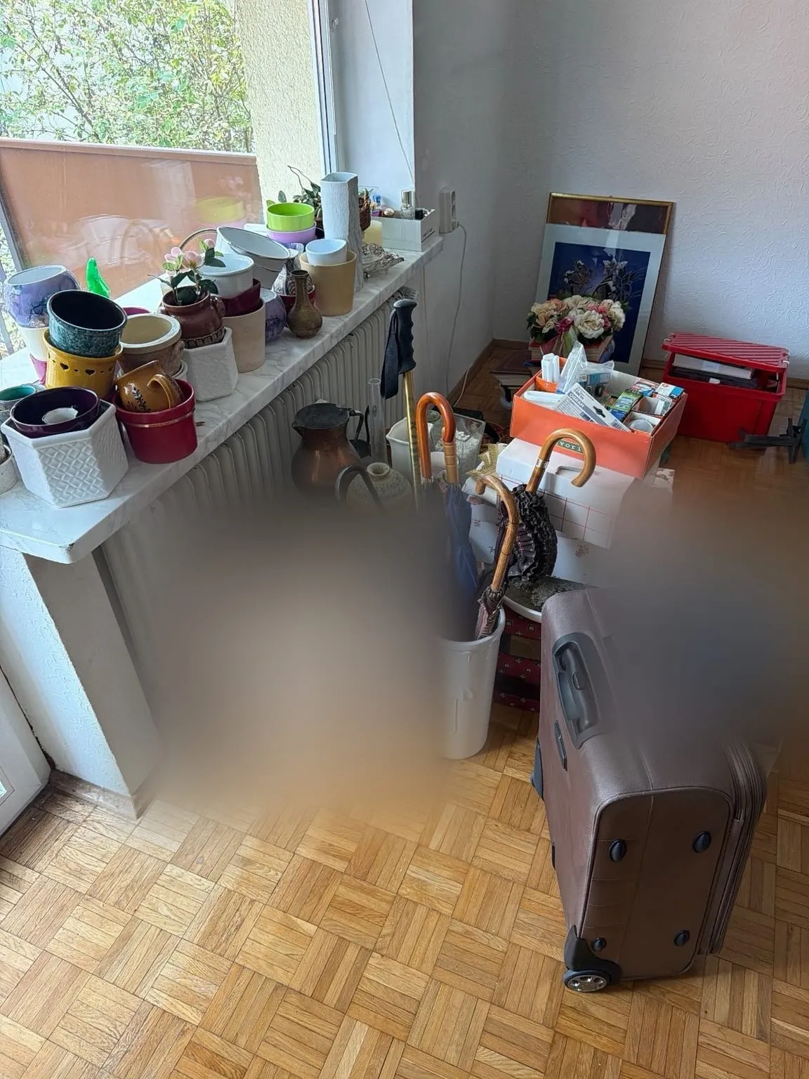 Fensterbank voller Blumentöpfe und Vasen, davor Kartons, ein Schirmständer mit Schirmen, ein Rollkoffer und Kisten auf dem Parkett